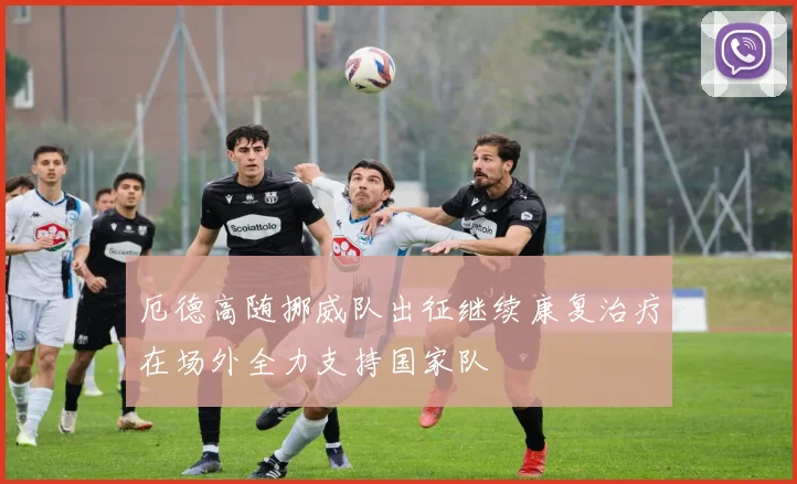 厄德高随挪威队出征继续康复治疗在场外全力支持国家队
