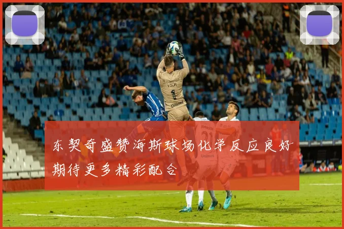 东契奇盛赞海斯球场化学反应良好期待更多精彩配合
